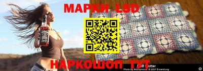 стаф Кулебаки